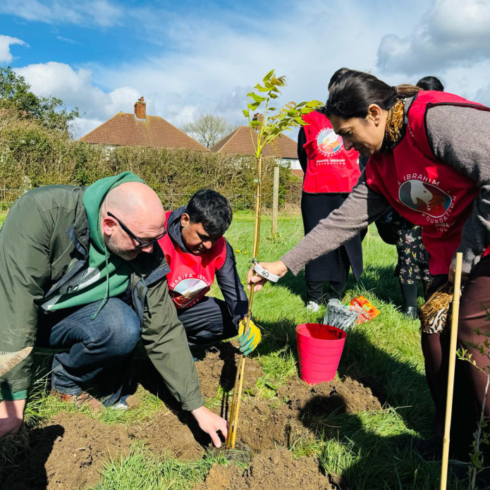 Tree Planting